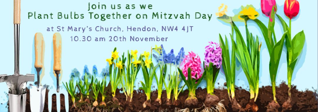 Join us as we plant bulbs this Mitzvah Day at St Mary's Church Hendon